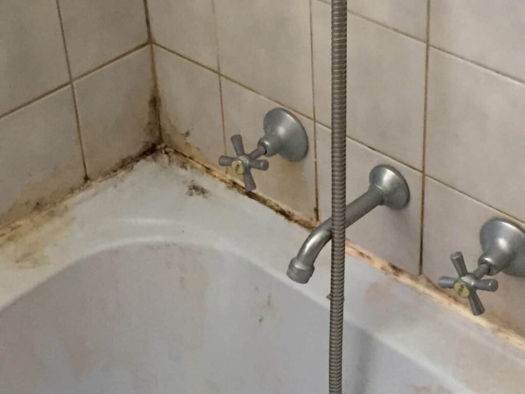 Bathroom Mould